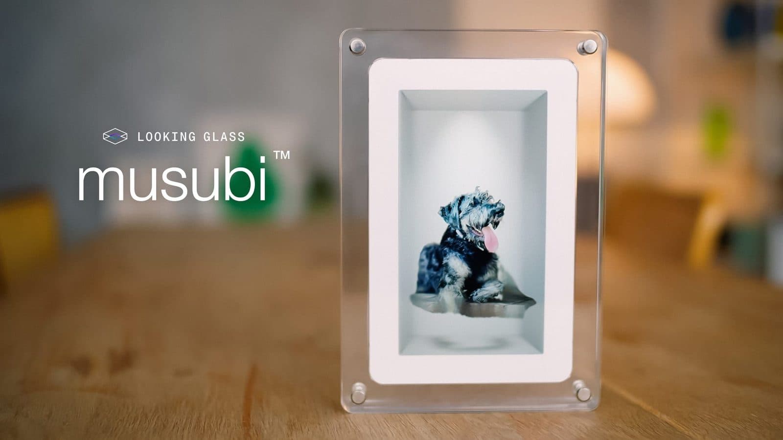 musubi